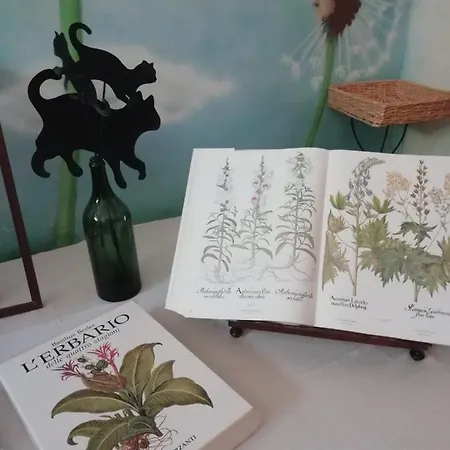 La Casa Di Zia Mimina Civitella Casanova