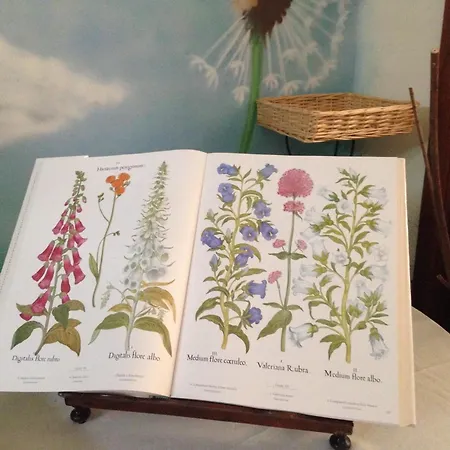 La Casa Di Zia Mimina