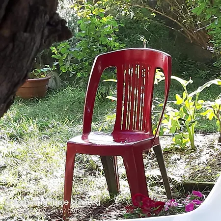 Bed & Breakfast La Casa Di Zia Mimina *