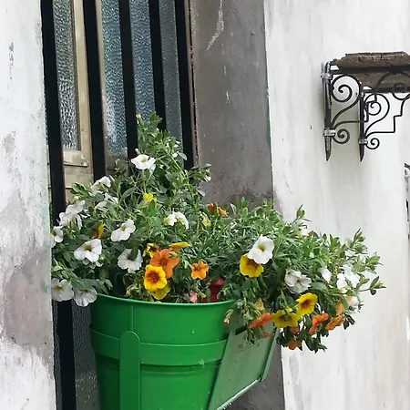 Bed & Breakfast La Casa Di Zia Mimina