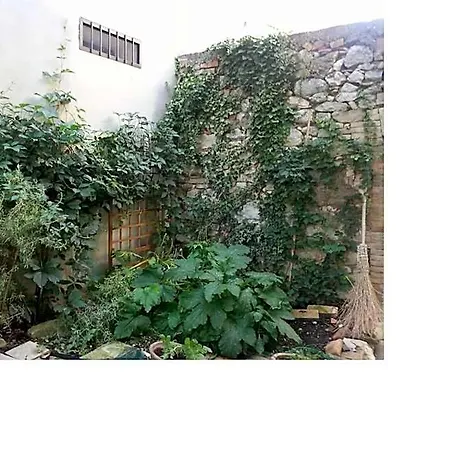 La Casa Di Zia Mimina Bed & Breakfast Civitella Casanova