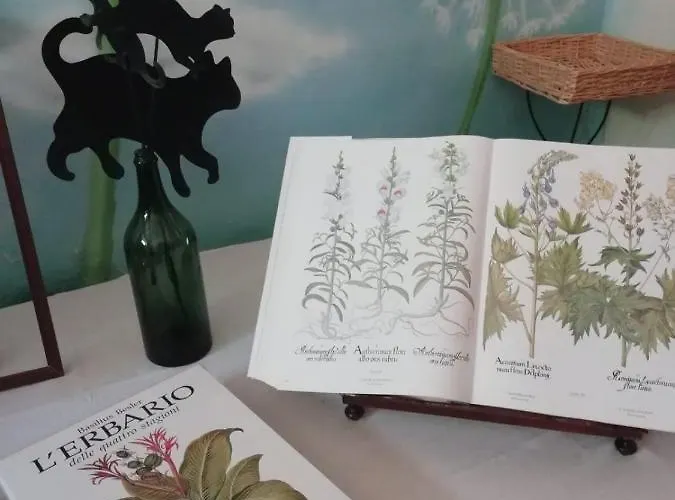 La Casa Di Zia Mimina Civitella Casanova