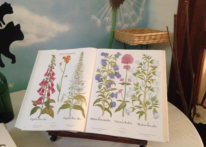 La Casa Di Zia Mimina