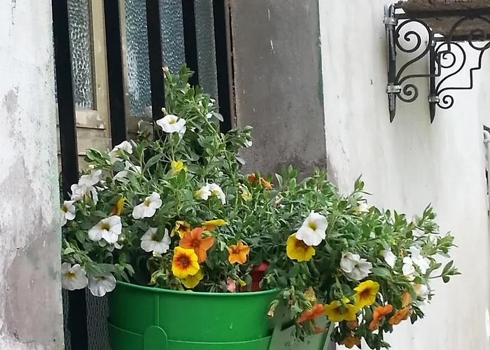 Panzió La Casa Di Zia Mimina